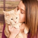 Почему нельзя целовать котов